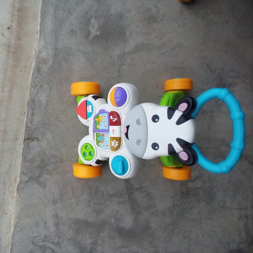 Zebra Music Walker